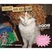 Stuff on My Cat 2009 Desk Calendar