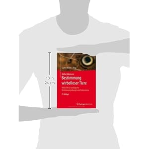 Müller/Bährmann Bestimmung wirbelloser Tiere: Bildtafeln für zoologische Bestimmungsübungen und