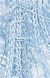 Eigenschaften Coats / Coats - Strickgarn Brazilia, 50g Knäuel, Hellblau