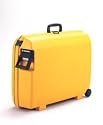 Samsonite Oyster Cartwheel, 29"