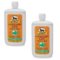 Absorbine Veterinary Liniment Gel (Two 12-oz Squeeze Bottle)
