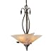 Capri - 3 Light Uplight Pendant Lighting Fixture - Black Walnut Bronze - Excavation Glass - B2837