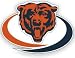 Chicago Bears Team Auto Window Decal (12 x 10 -inch)