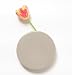 Chive Wall Dot Grey Vase