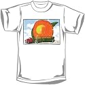 Allman Brothers - T-shirts - Band