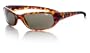 Bolle Fusion Sidney Sunglasses,Dark Tortoise/TNS