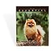   - The Essential Pomeranian
