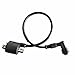 Newmotoz 50cc 70cc 90cc 110cc 125cc 200cc 250cc Atv Quad Dirt Bike Ignition Coil