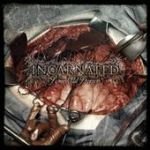 Dead Infection Biography, lyrics, albums, videos, discography