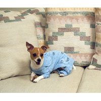 Childrens Toyshop  Pet Supplies : Dream PJS Blue - Medium