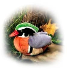Wood Duck Audubon Plush Bird (Authentic Bird Sound) 31i 1etzIvL Wood Duck Audubon Plush Bird (Authentic Bird Sound)