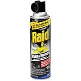 Raid® Wasp & Hornet Killer, 14 Ounce (94898JD) Category: Insect Control