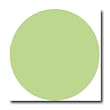 Wall Pops Pear Green Peel and Stick Dry Erase Dots