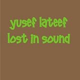 Lost In Sound