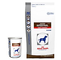 Royal Canin Canine Gastrointestinal HE Dry Dog Food 22 Pound Bag (Intestinal)
