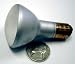 Sunray Lighting #1390 48 Volt R-12 Double Contact Bayonet Base Lamp With Frosted Lens