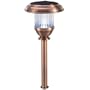 Solar Stainless steel/Copper Finish Bright LED Lights (16 pk.)