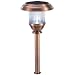 Solar Stainless steel/Copper Finish Bright LED Lights (16 pk.)