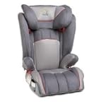 Sunshine Kids Monterey Booster Car Seat, Grey