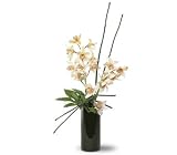 Teleflora's Artful Orchids