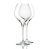 Riedel Vitis Pinot Noir Glass, Set of 2