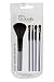 5pc Functionality Brush Set