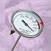 Kitchen & Housewares : Chaney Instrument 00699 Acu-Rite Deep Fry Turkey Thermometer
