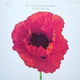 You Got the Love Remixes [12" VINYL]
