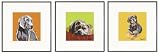 Paper Russells PAFR698 Limited Framed Prints 8x8 Inch - Pit Bull Terrier Head down