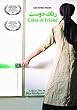 Color of Friend