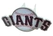 San Francisco Giants Logo Trailer Hitch Cover - Baseball Sports Merchandise