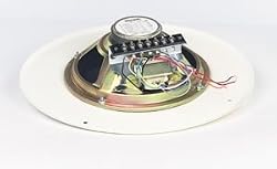Bogen S86T725PG8WVR Speaker w Volume