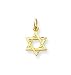 14k Solid Satin Star of David Pendant