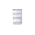 - White Accordian Lantern