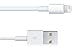 Apple MD819ZM/A 6.56-Feet Lightning to USB Cable, White, 2-Pack