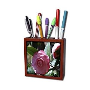 WhiteOak Photography Floral Prints - Pink Japanese Camellia A Pink Flower - Tile Pen Holders-5 inch tile pen holder