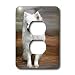 Dogs American Eskimo - American Eskimo Toy Dog - Light Switch Covers - 2 plug outlet ...