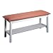 Hausmann Quality Line Treatment Bed w/ Shelf (27 W x 72 L)