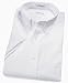 Van Heusen Big & Tall Easy Care Pinpoint Short Sleeve Dress Shirt