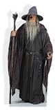 Gandalf the Grey - Lord of the Rings - Cardboard Cutout - Lifesize Standee [Toy