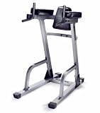 Nautilus NT1150 Vertical Knee Raise / Dip