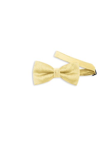 Men's Paragon Bow-tie