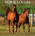 Horse Lovers 2009 Calendar, 12x12