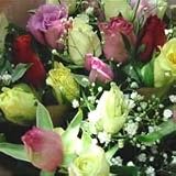 �~�b�N�X�u�[�P�@�U�O�{�@�җ�̂��j���ɁI�y���ԁz�y���j���z�L�O���z�y�a�����z�y�t�����[�M�t�g�z�y�o���z