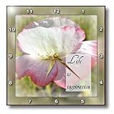 Framed Life is Inspiration Iceland Poppy Flowers Inspirational Quotes - 10x10 Wall Clock