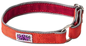 Doggles Mutt Gear Comfort Collars Orange/Red Dog Collar 8-10 Inches