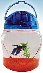 TOM AQUA PAL 1GAL TANK KIT