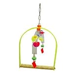 Large Acrylic Swing with Mobile Bird Toy