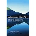 (Wherever You Go, There You Are (Anniversary)) By Kabat-Zinn, Jon (Author) Paperback on (01 , 2005)