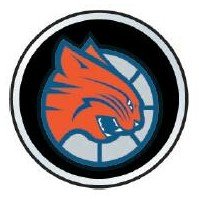Charlotte Bobcats Color Auto Emblem - Basketball Sports Merchandise
